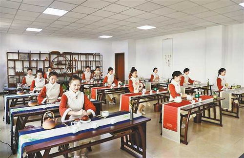 建渝东南职教高地 黔江职业教育在校生规模达2.3万人