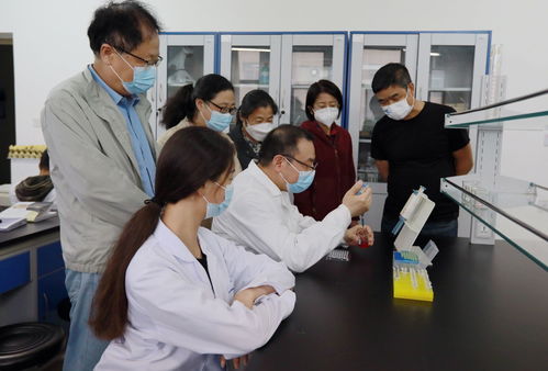 体验职业教育 感受大国匠心