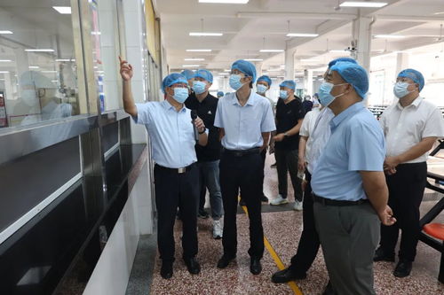 全市教育领域 校园餐 食品安全和膳食经费管理问题集中整治工作推进会暨 惠济模式 推广会在伊滨区召开