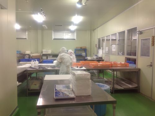 特定技能1号食品加工 高薪资,恒温工作